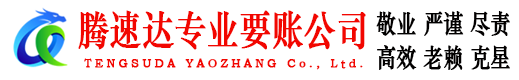 东海岛追债公司
